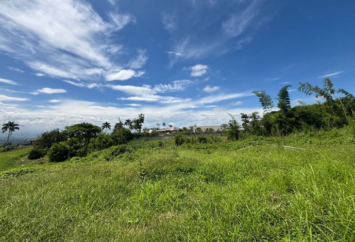 Lote en venta en Cerritos, Pereira, 4000 m² · foto 3 de 4