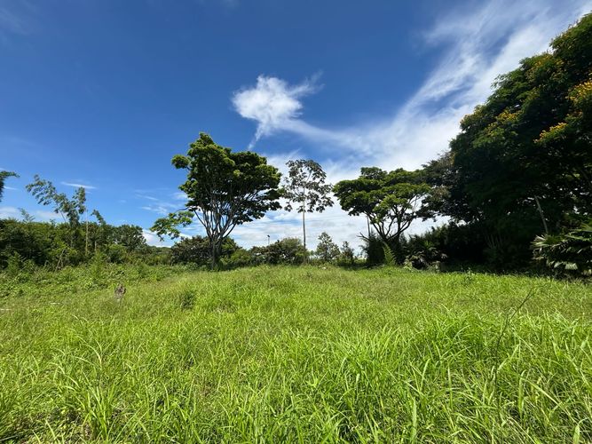 Lote en venta en Cerritos, Pereira, 4000 m² · foto 4 de 4