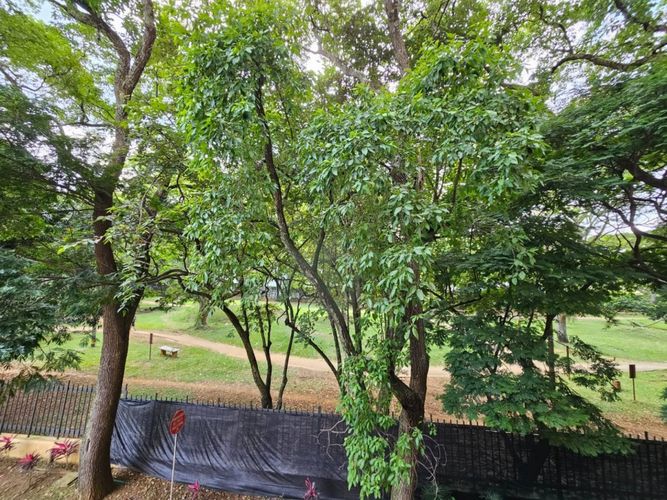 Local en venta en Unicentro Cali, Cali, 113 m² · foto 9 de 14