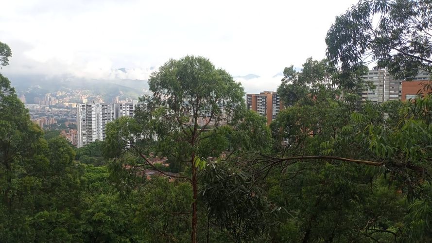 Apartamento de 3 alcobas en venta en El Poblado, Medellín, 107 m² · foto 12 de 15