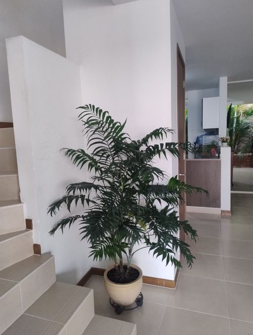 Casa de 3 alcobas en venta en Ciudad Country, Cali, 79 m² · foto 12 de 22