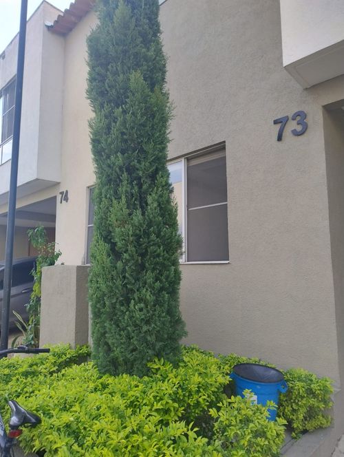 Casa de 3 alcobas en venta en Ciudad Country, Cali, 79 m² · foto 14 de 22