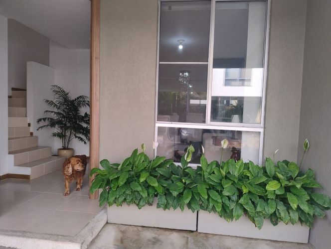 Casa de 3 alcobas en venta en Ciudad Country, Cali, 79 m² · foto 15 de 22