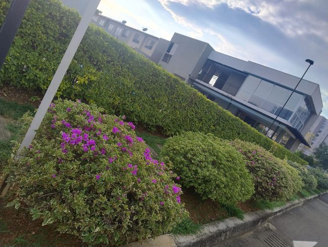 Casa de 3 alcobas en venta en Ciudad Country, Cali, 79 m² · foto 21 de 22