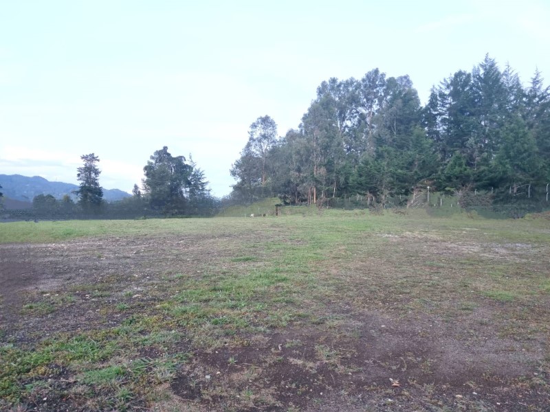 Land in Los salados (2533 m²) for Sale