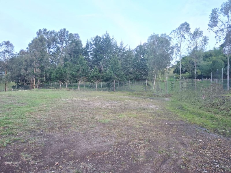 Land in Los salados (2533 m²) for Sale - 3