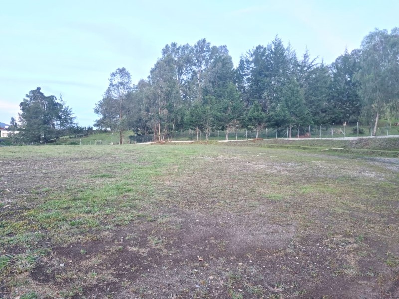 Land in Los salados (2533 m²) for Sale - 4