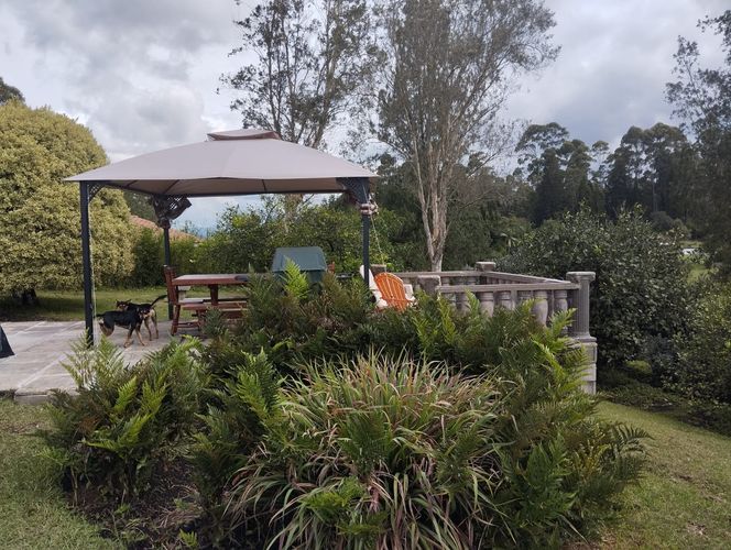 Casa de 2 alcobas en arriendo en San Jose, Guarne, 80 m² · foto 5 de 14