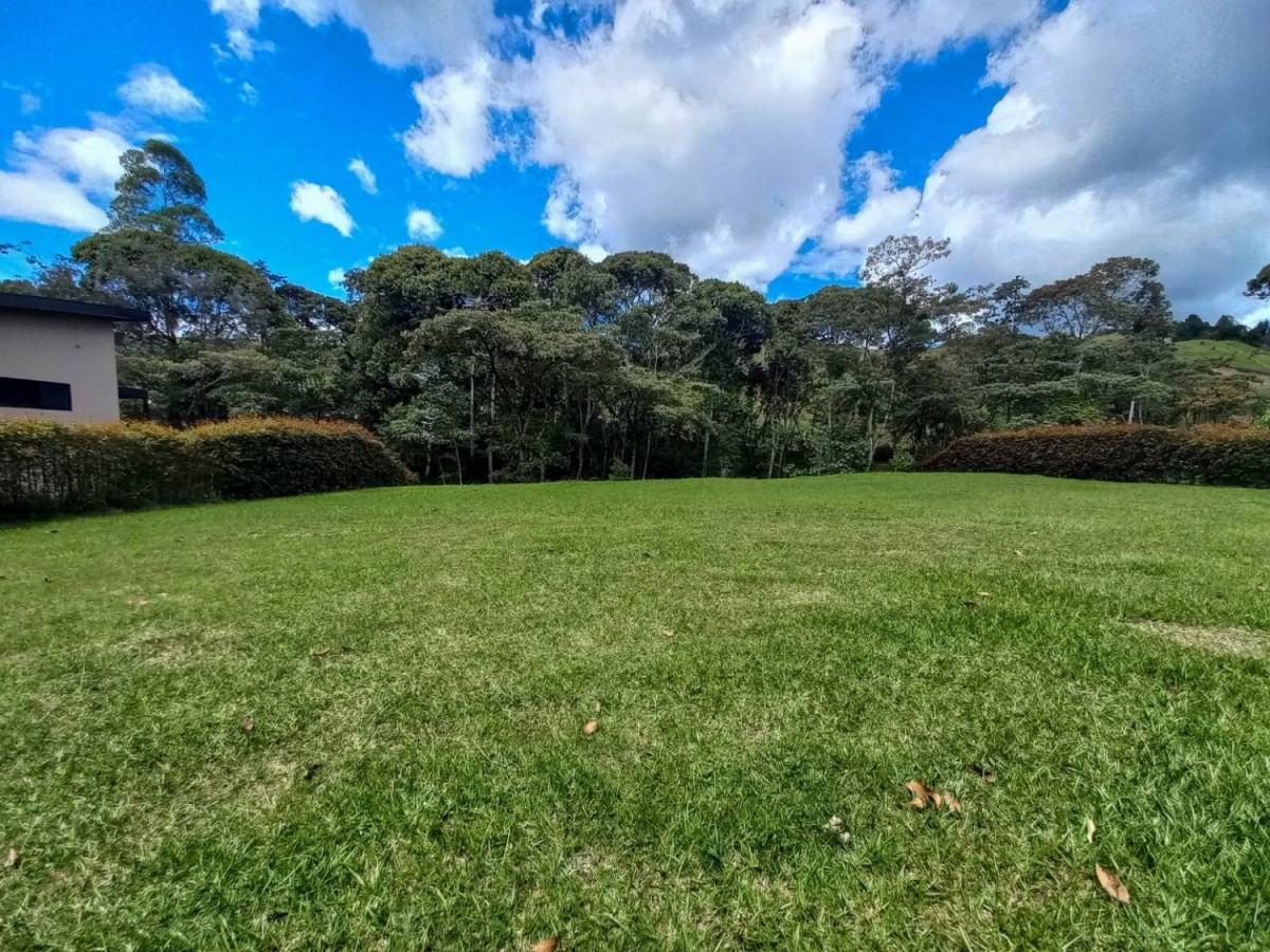 Land in El Portento (2000 m²) for Sale - 2