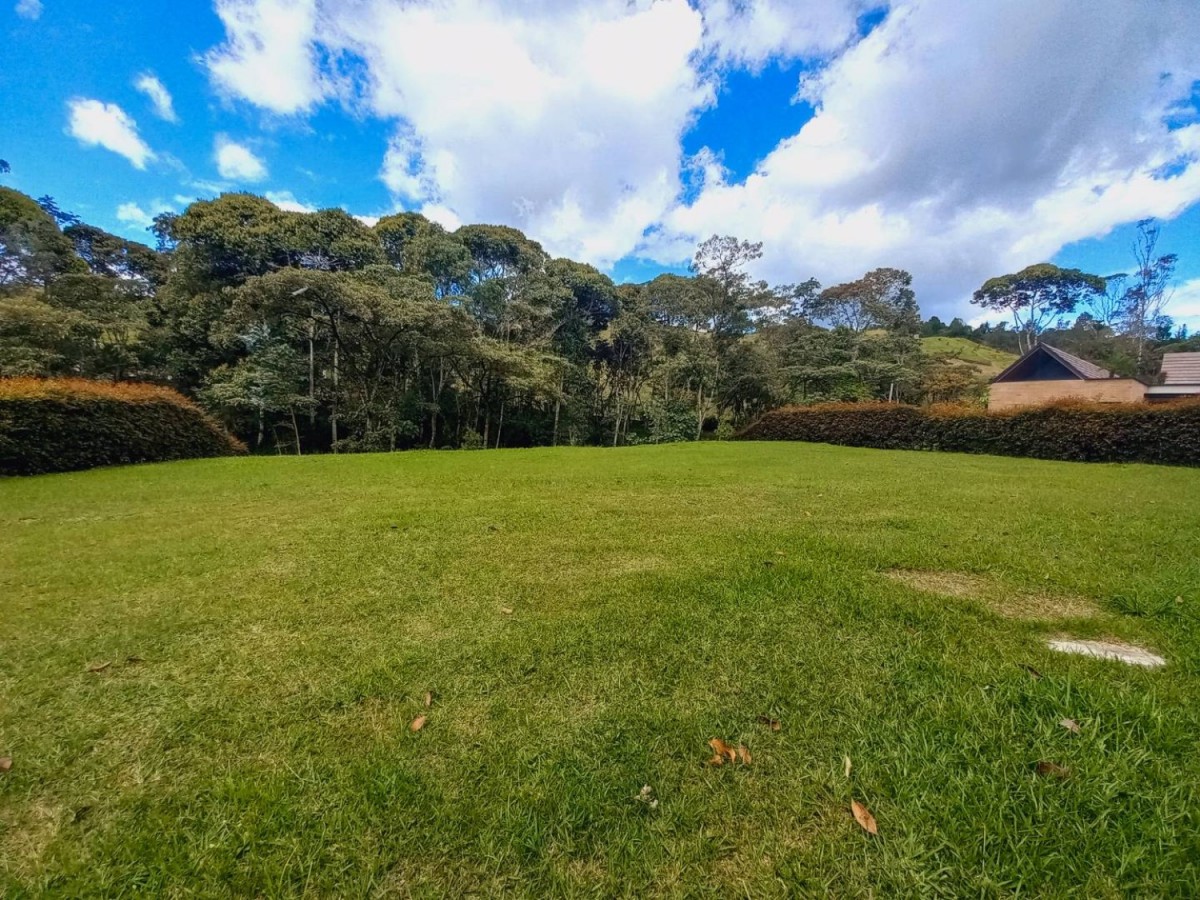 Land in El Portento (2000 m²) for Sale - 3