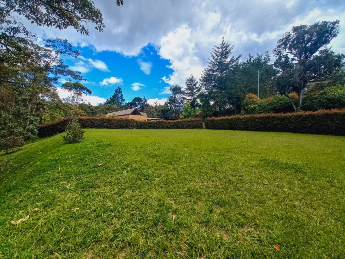Land in El Portento (2000 m²) for Sale - 4
