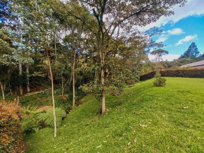 Lote en venta en Pantanillo, El Retiro, 2000 m² · foto 5 de 15