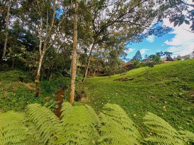 Lote en venta en Pantanillo, El Retiro, 2000 m² · foto 6 de 15