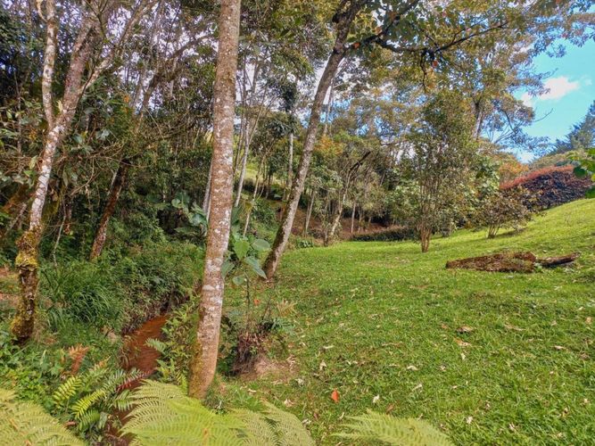 Lote en venta en Pantanillo, El Retiro, 2000 m² · foto 7 de 15