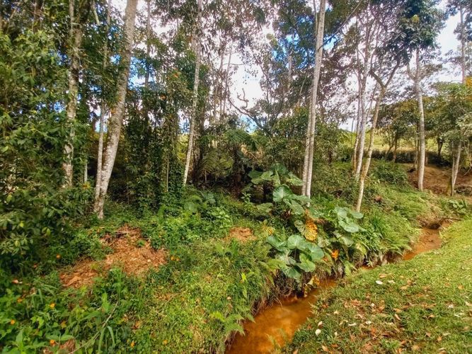 Lote en venta en Pantanillo, El Retiro, 2000 m² · foto 9 de 15