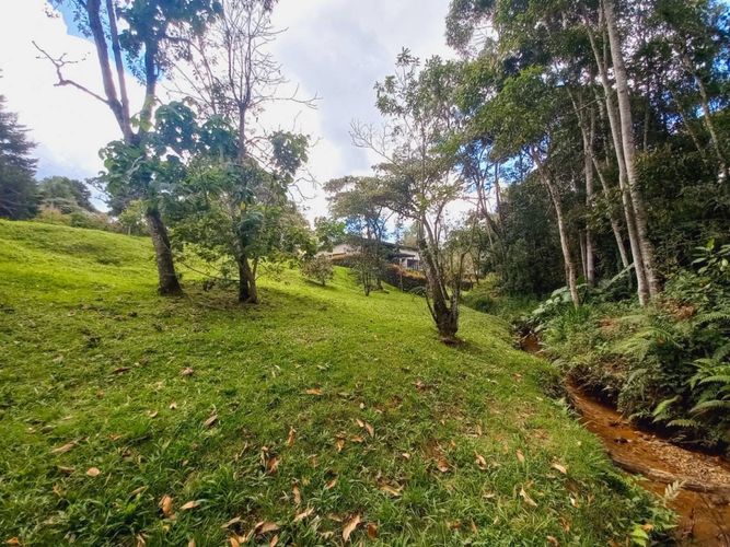 Lote en venta en Pantanillo, El Retiro, 2000 m² · foto 11 de 15