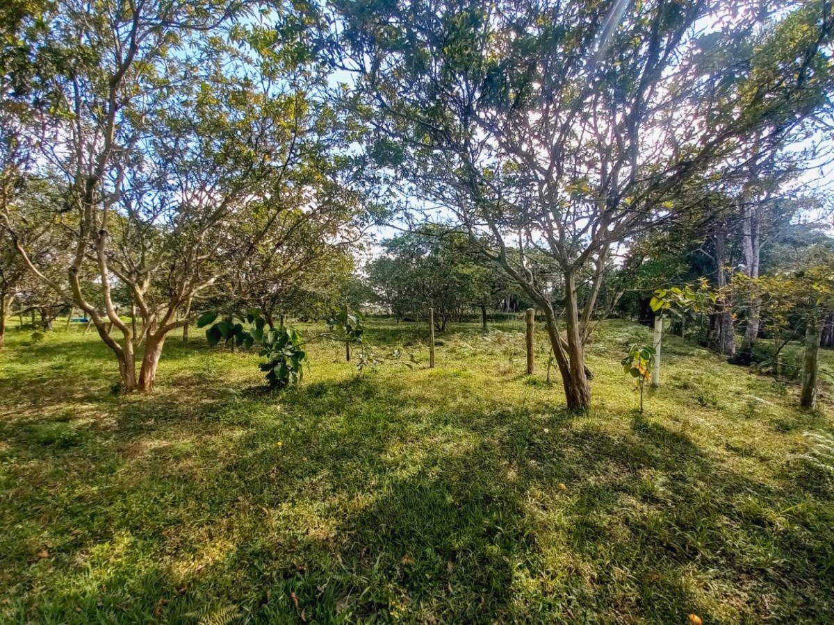 Lote en Venta en El rosal, Rionegro