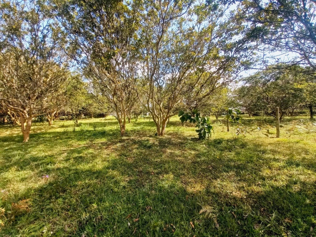 Land in El rosal for Sale - 2