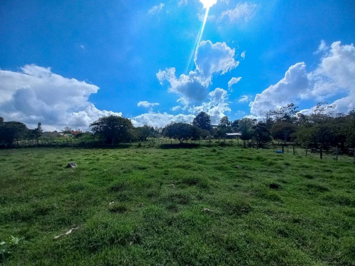 Land in El rosal for Sale - 3