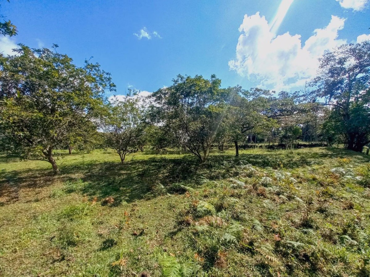 Land in El rosal for Sale - 4