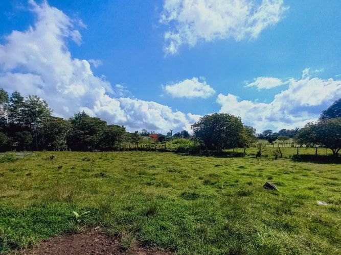 Lote en venta en El Rosal, Rionegro, 20000 m² · foto 5 de 5