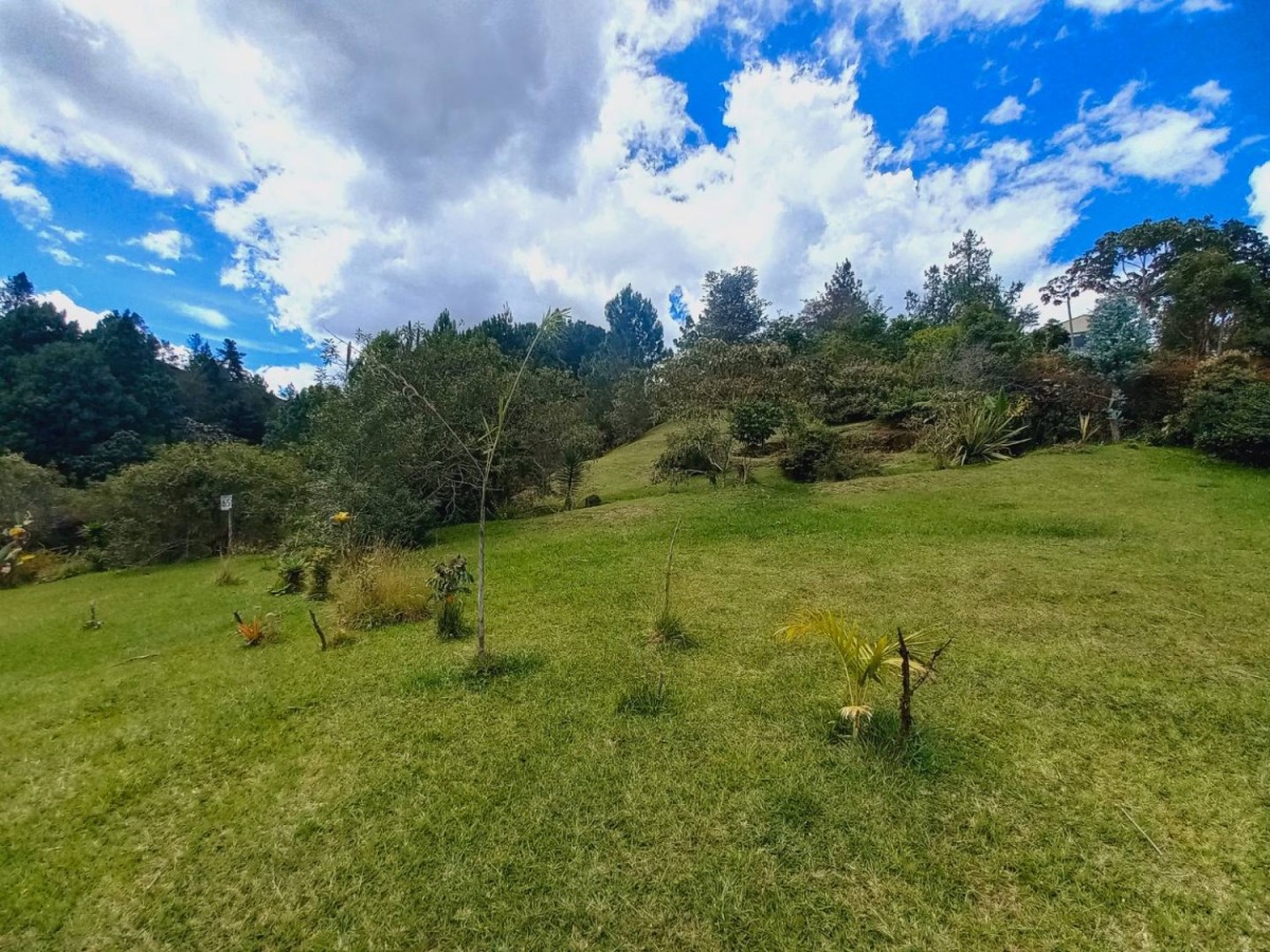 Land in Pantanillo (4287 m²) for Sale - 2