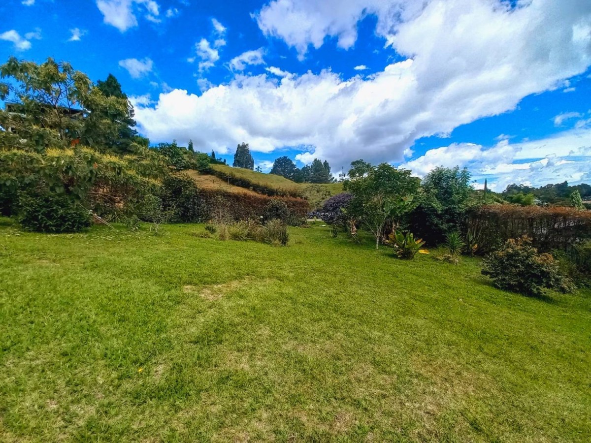 Land in Pantanillo (4287 m²) for Sale - 3