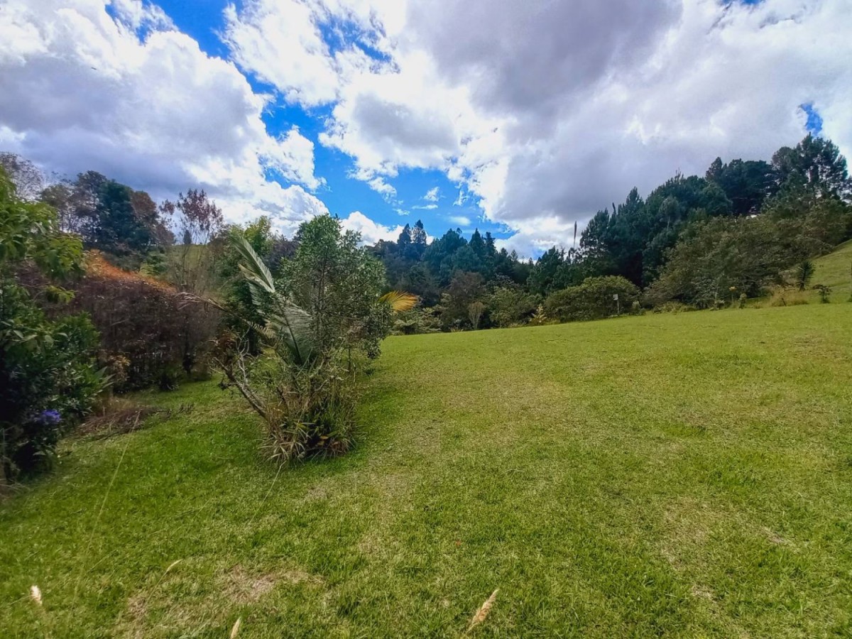 Land in Pantanillo (4287 m²) for Sale - 4