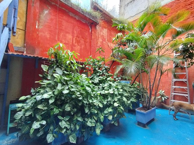Casa de 8 alcobas en venta en Juanambu, Cali, 143 m² · foto 15 de 18