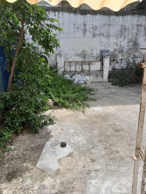 Casa de 5 alcobas en venta en Boston, Barranquilla, 400 m² · foto 9 de 23