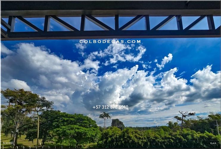 Bodega en venta en Los Angeles, Pereira, 2538 m² · foto 21 de 22