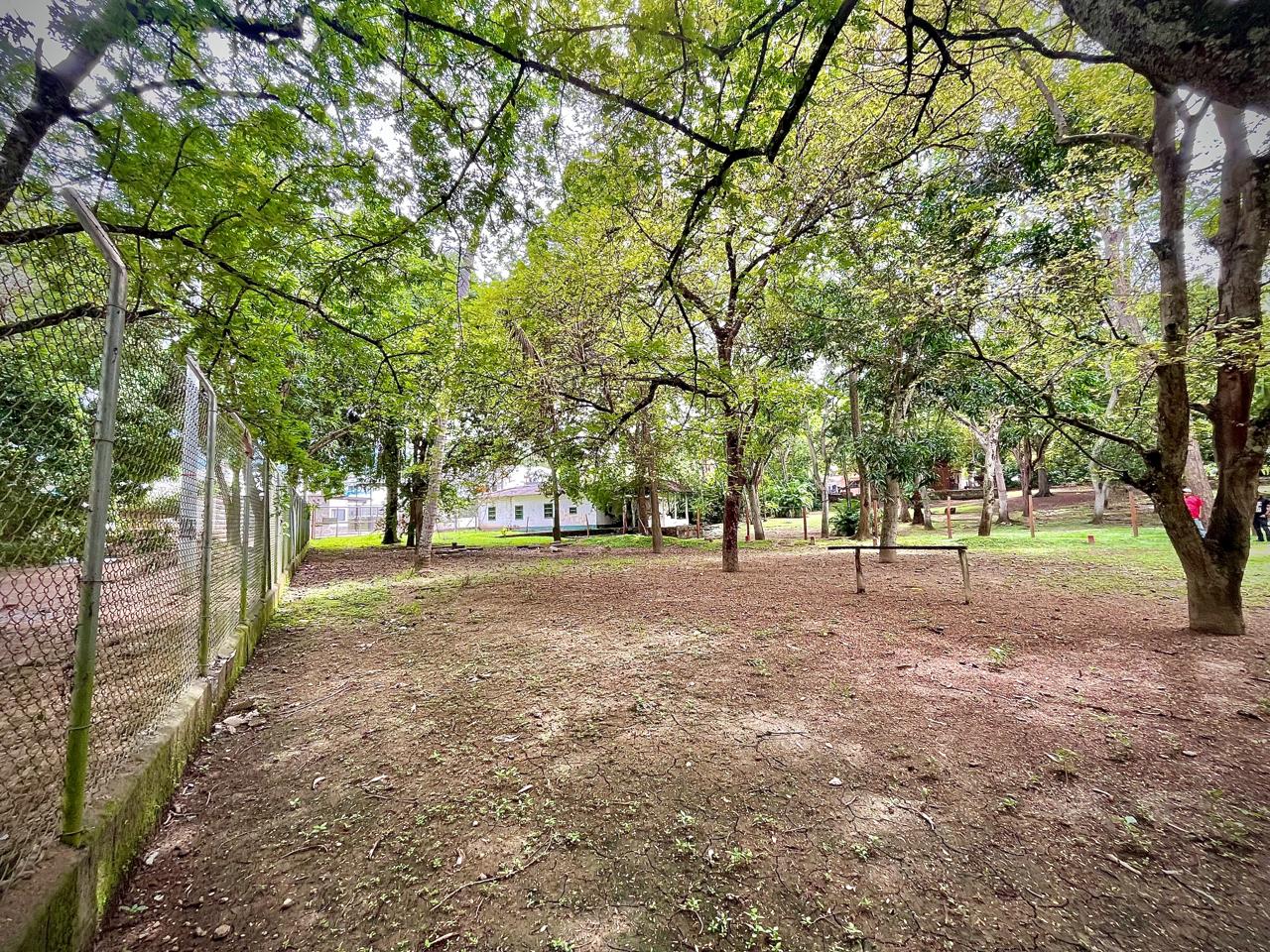 Land in Santafe de antioquia (1718 m²) for Sale - 4