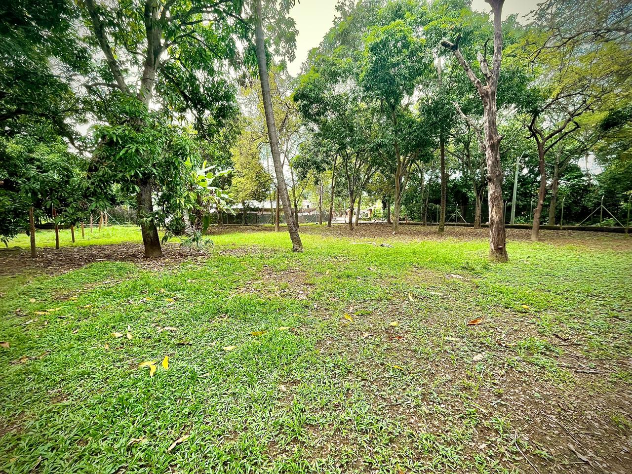 Land in Santafe de antioquia (1050 m²) for Sale