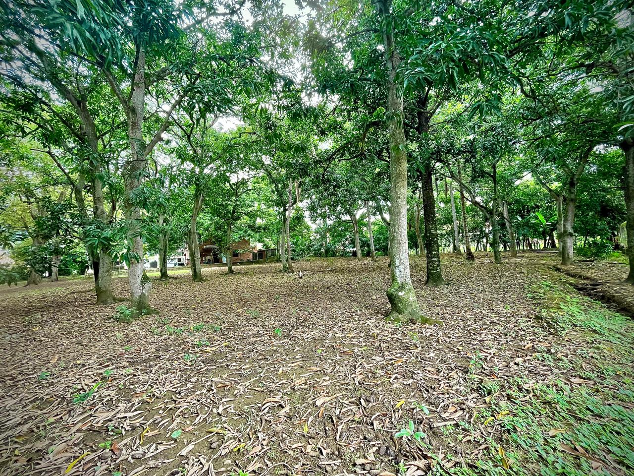 Land in Santafe de antioquia (1718 m²) for Sale
