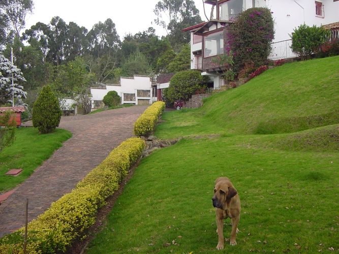 Casa de 3 alcobas en venta en Altos De Suba, Bogotá, 463 m² · foto 16 de 20