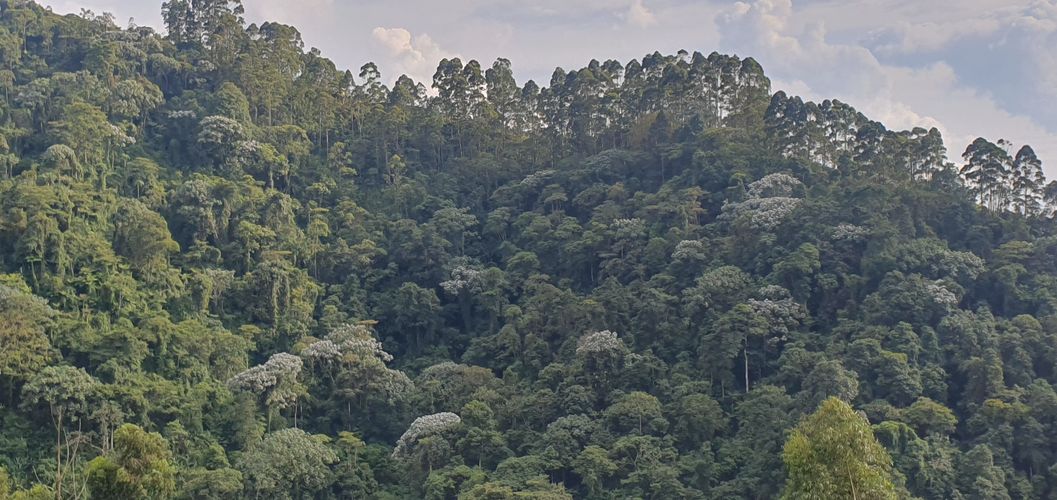 Finca en venta en Sabanitas, Dosquebradas, 500 m² · foto 2 de 24