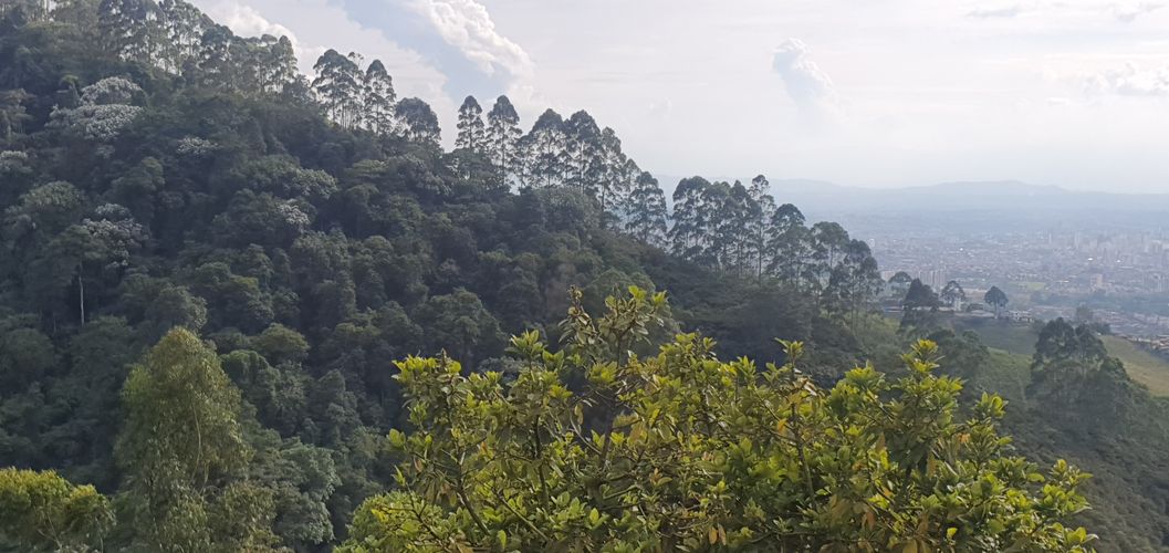 Finca en venta en Sabanitas, Dosquebradas, 500 m² · foto 3 de 24