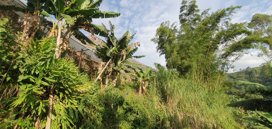 Finca en venta en Sabanitas, Dosquebradas, 500 m² · foto 18 de 24