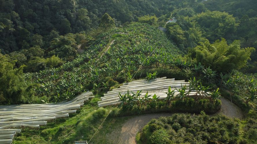 Finca en venta en Sabanitas, Dosquebradas, 500 m² · foto 22 de 24