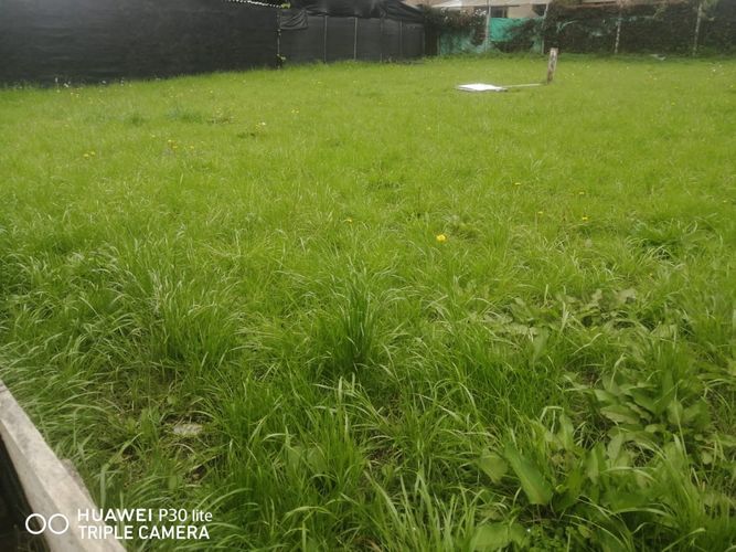 Casa en venta en Centro Historico, Chía · foto 4 de 8