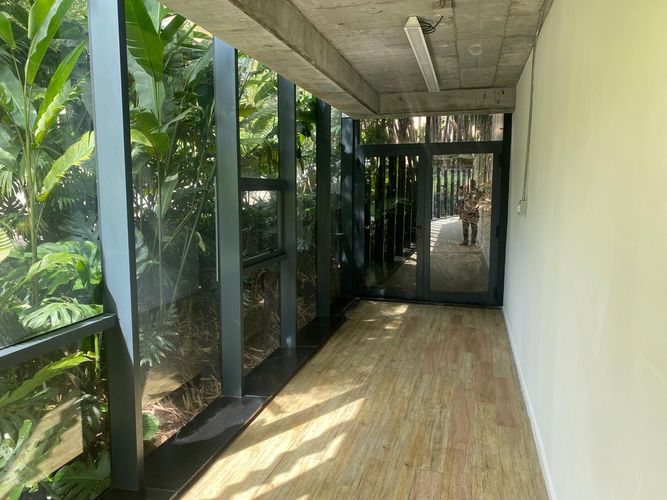 Local en arriendo en El Poblado, Medellín, 71 m² · foto 3 de 11