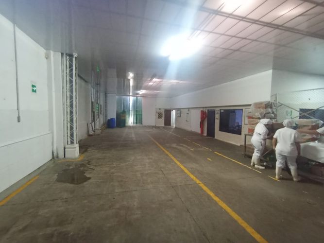 Bodega en arriendo en Guacanda, Yumbo, 2357 m² · foto 10 de 16