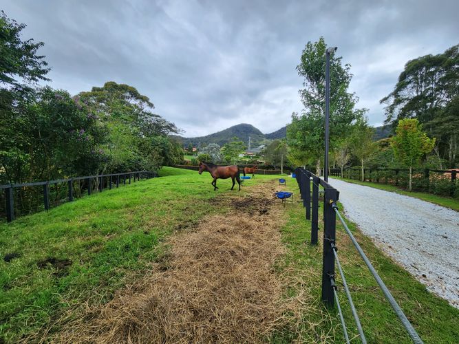 Finca en venta en El Carmen De Viboral, El Carmen de Viboral, 250 m² · foto 4 de 22