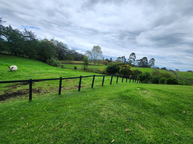 Finca en venta en El Carmen De Viboral, El Carmen de Viboral, 250 m² · foto 6 de 22