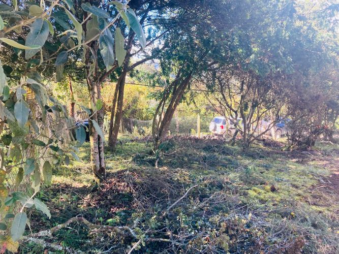 Lote en venta en El Libano, La Calera, 2488 m² · foto 2 de 14