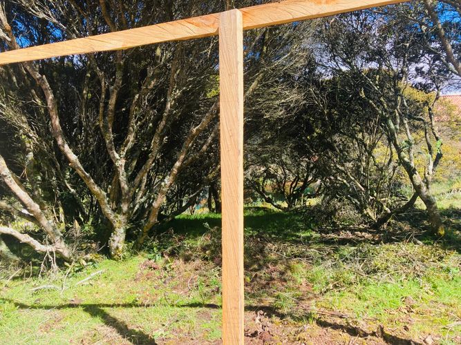 Lote en venta en El Libano, La Calera, 2488 m² · foto 5 de 14