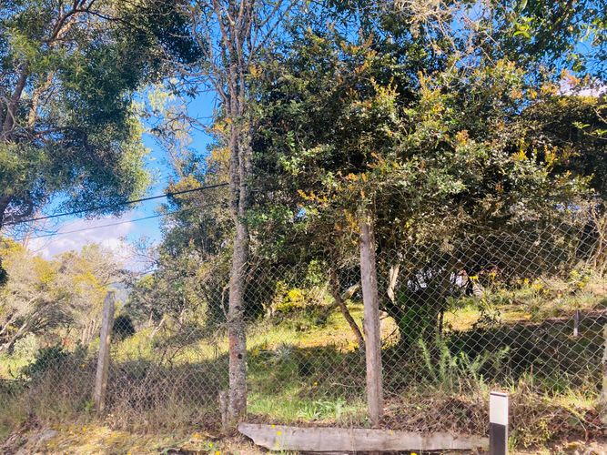 Lote en venta en El Libano, La Calera, 2488 m² · foto 7 de 14