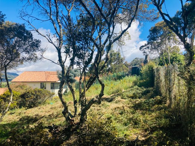 Lote en venta en El Libano, La Calera, 2488 m² · foto 9 de 14