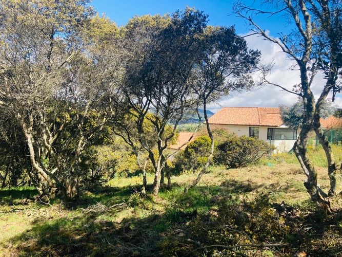 Lote en venta en El Libano, La Calera, 2488 m² · foto 13 de 14