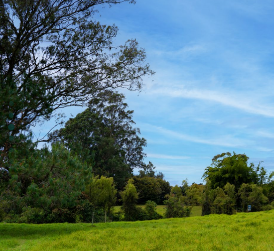 Lote en venta en Cabeceras De Llanogrande, La Ceja, 350 m² · foto 3 de 7
